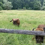 Feriehus Am Schlossberg In Ranis
