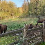 Feriehus Am Schlossberg In *