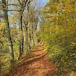 Am Schlossberg In Feriehus *