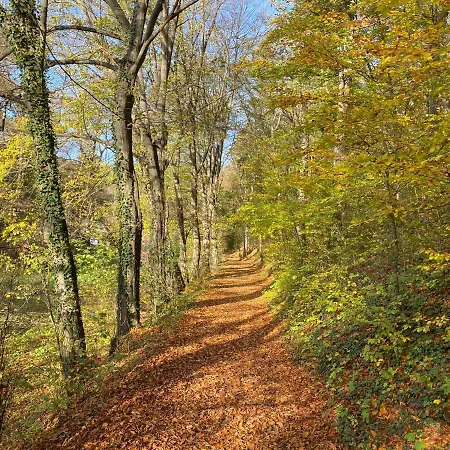 Am Schlossberg In Vakantiehuis *