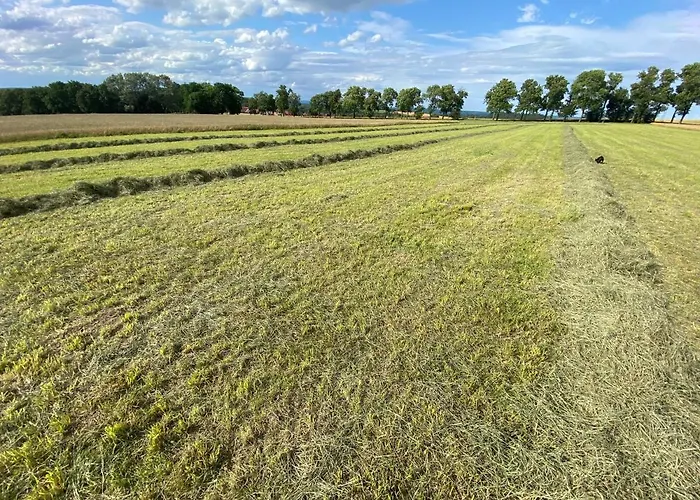 Ferienhaus Am Schlossberg In