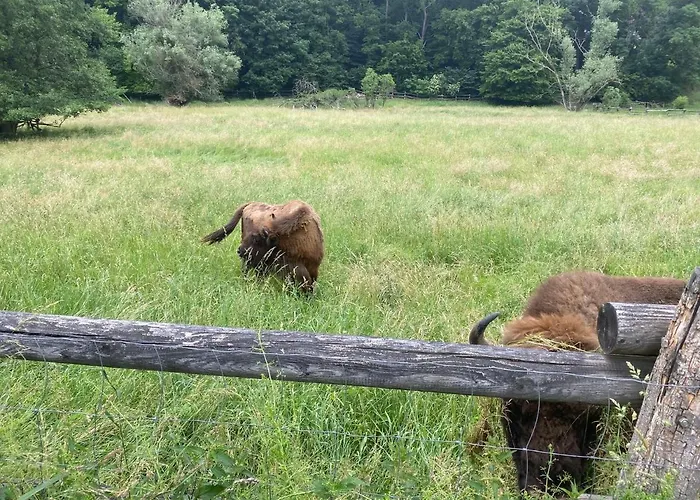 Ferienhaus Am Schlossberg In Ranis