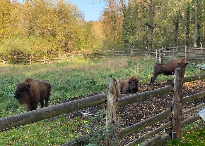 בית נופש Am Schlossberg In *